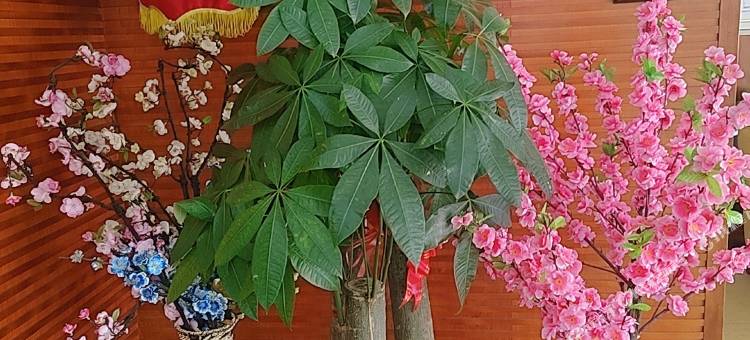 格林豪泰深圳坪山坑梓地铁站酒店图片