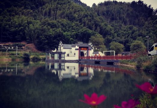 DALE resort Over view