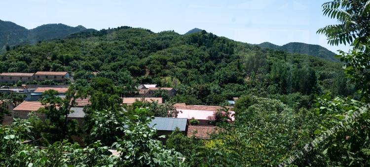 花筑·泰山云居民宿图片