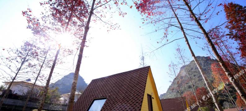 枫悦度假酒店图片