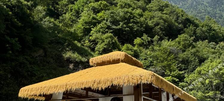 追山茗境温泉度假酒店(毕棚沟景区理小路店)图片