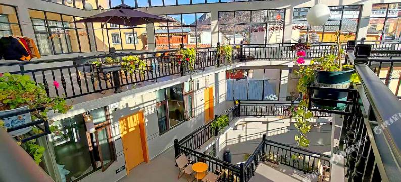 花语·猫咖供氧设计师民宿(香格里拉独克宗古城店)图片
