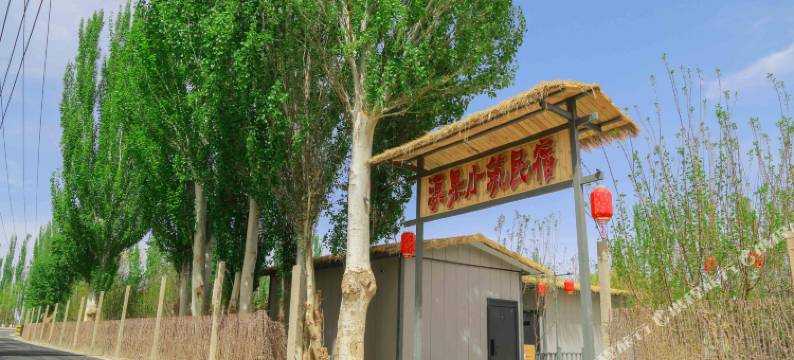 敦煌漠果小筑民宿(莫高窟数字中心店)图片