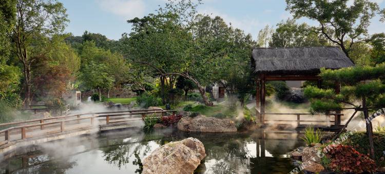 信阳松林苑民宿图片