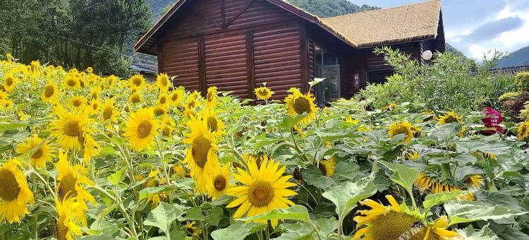 世海居民宿图片