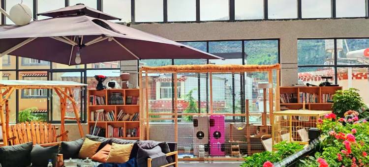 花语·猫咖供氧设计师民宿(香格里拉独克宗古城店)图片