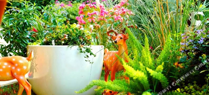 厦门樹夏·半亩花园Villa(黄厝海滩会展中心店)图片