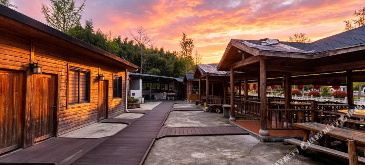 大隐熊猫｜Panda Valley 采摘民宿(富阳千年银杏森林公园店)图片
