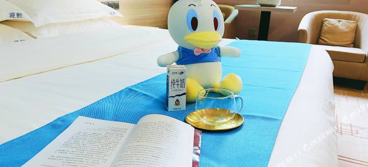 瑞丽迎熙酒店(旅游步行街财富广场店)图片