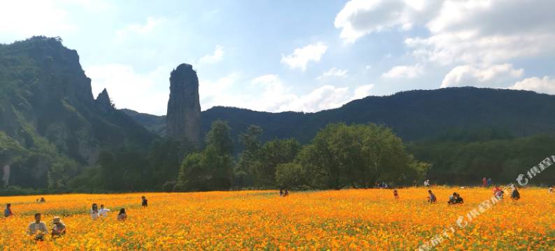 花筑·云柒·近山邻水·亲子度假·秋千庭院美宿(仙都景区店)图片