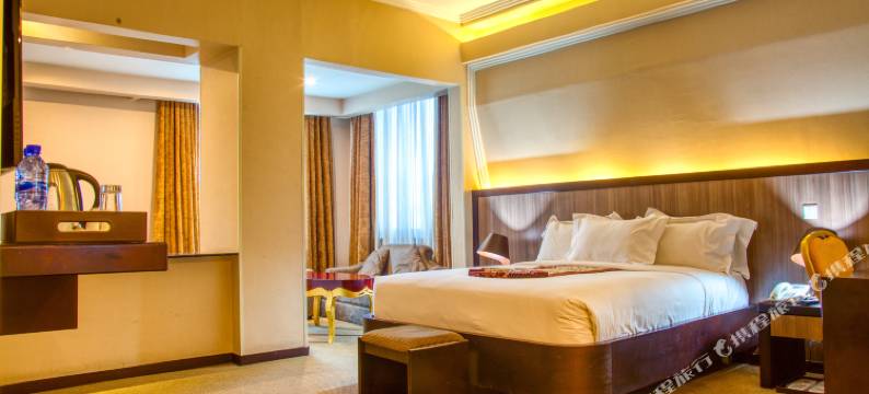 埃利国际酒店(Elilly International Hotel)图片