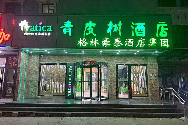 青皮树酒店北京东外大街老919车站店