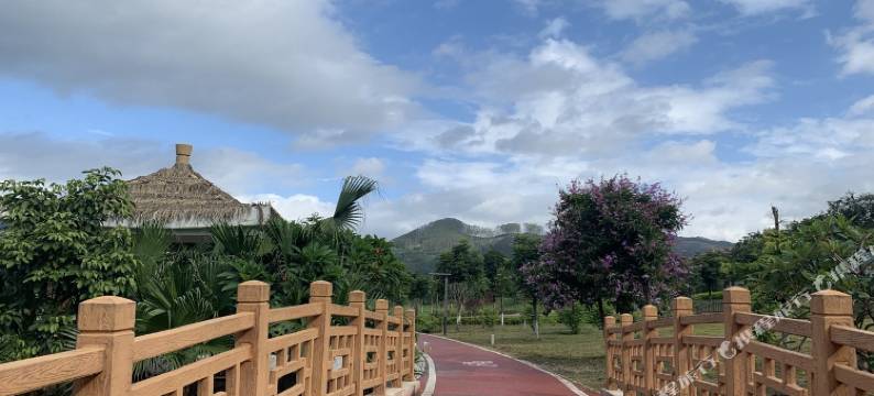 鹿百万吖公寓(和靖路1号分店)图片