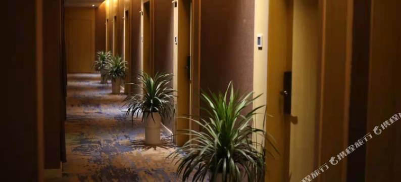 煌悦商务酒店(宣城国购广场店)图片