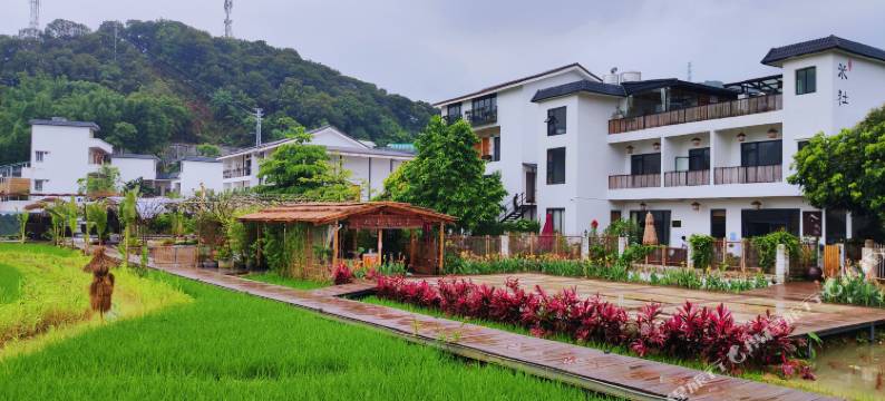 广州稻喜湾温泉民宿图片