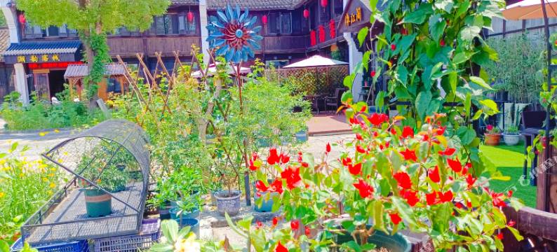 海宁依江阁客栈(观潮景区店)图片