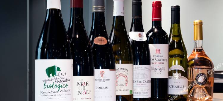 尼斯蔚蓝海岸酒店(Boutique Hotel Nice Côte d'Azur)图片