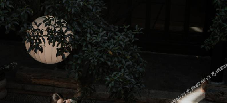 屋顶Coffee·心宿安云·雪山观景古院(丽江古城四方街店)图片