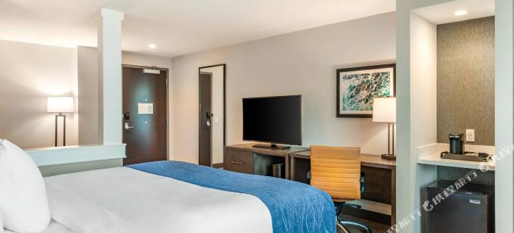 迈阿密国际机场舒适套房酒店(Comfort Inn & Suites Miami International Airport)图片