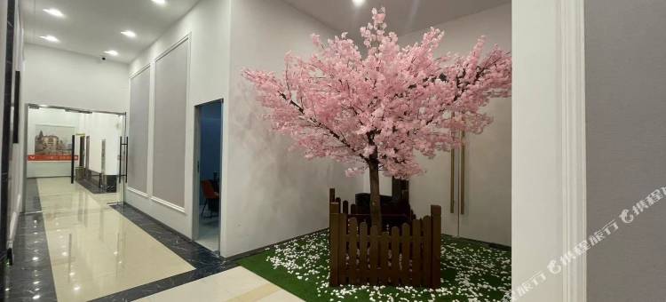 维也纳智好酒店(启东滨海工业园区店)图片