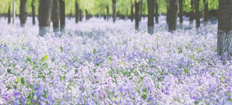 北京和园景逸大酒店图片