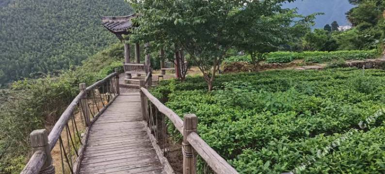 龙泉林韵人家农家乐图片