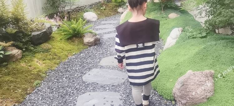 缙云行归民宿图片