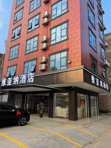 隆安维亚纳酒店