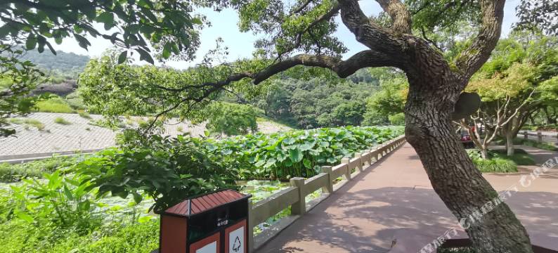 普陀山慈缘心舍民宿图片