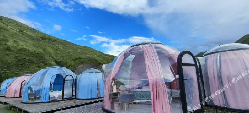 鱼子西雅诺星宿图片