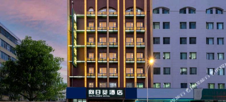 哈尔滨向日葵酒店(中央大街索菲亚教堂店)图片