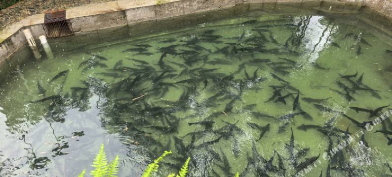 S湾山庄民宿图片