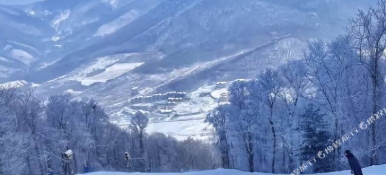 亚布力滑雪场月华民宿图片
