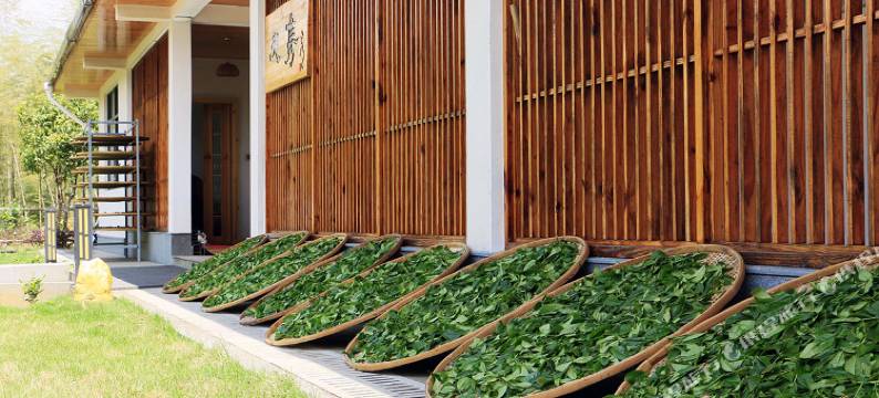 武夷山山栖谷隐民宿(奇丹茶庄园店)图片