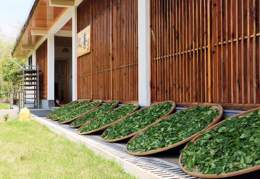 Hidden in mountains and valleys Guesthouse Hotel Overview