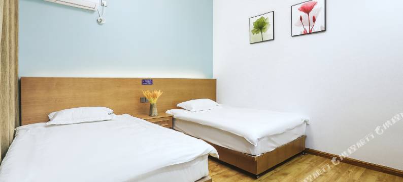 安吉风信子民宿图片