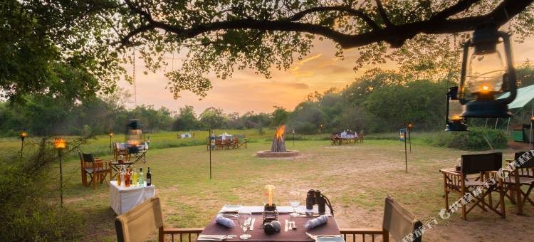 玛霍拉 - 韦帕图生态团队(Mahoora - Wilpattu by Eco Team)图片