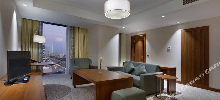 伊斯坦布尔贝利克杜祖希尔顿花园酒店(Hilton Garden Inn Istanbul Beylikduzu)图片