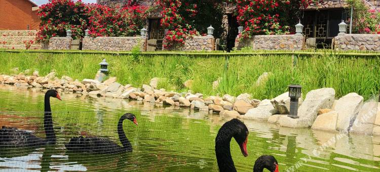 庄河竹庭庄园图片