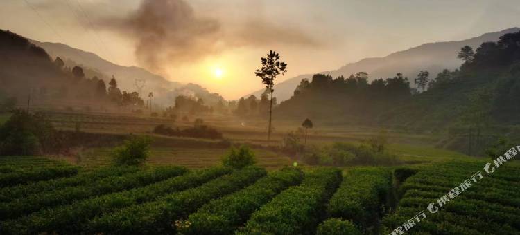 青木川田园精品酒店图片