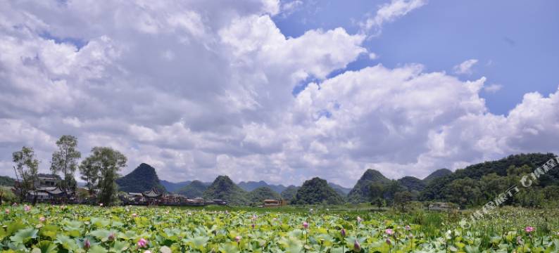 普者黑本千度假酒店(普者黑景区情人桥店)图片
