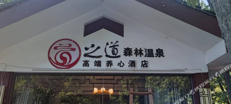 茅山·之道森林温泉民宿图片