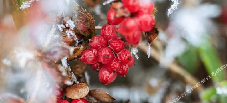 汶川醉语山房温泉民宿图片