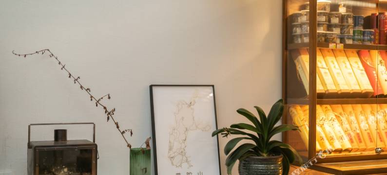 朱家尖青沐生活美学民宿图片