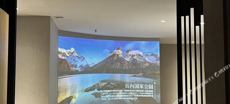 泰德维斯酒店(青山万达广场正翔国际店)图片