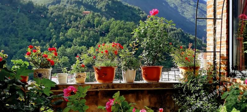 康定锅庄南无号民宿图片