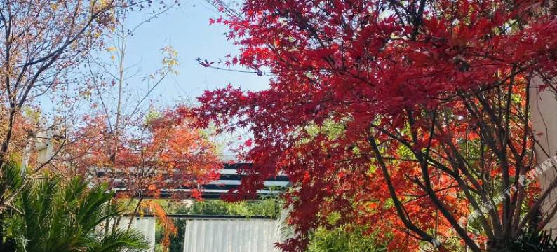 铜仁江云茗院民宿图片