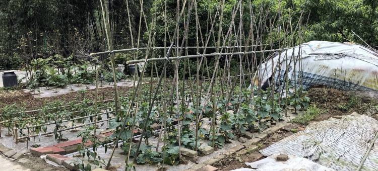 清潭沟民宿图片