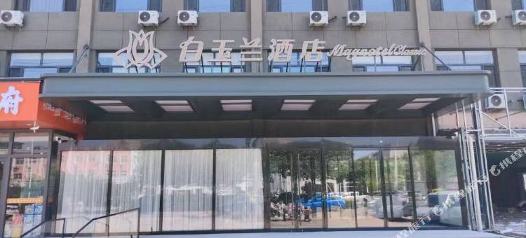 白玉兰酒店(黄骅迎宾大街店)图片