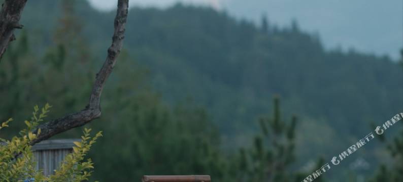 武夷山养岩山房图片